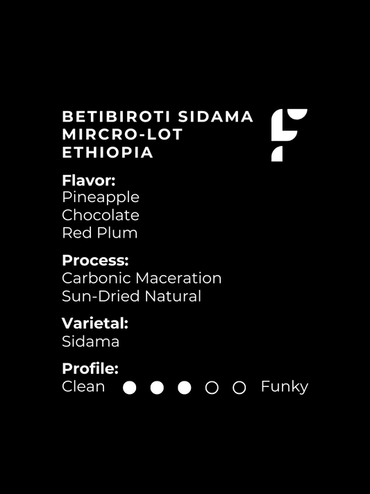 Betibiroti Sidama Mircro-Lot Ethiopia
