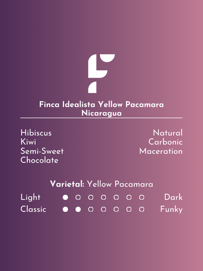 Finca Idealista - Yellow Pacamara Nicaragua