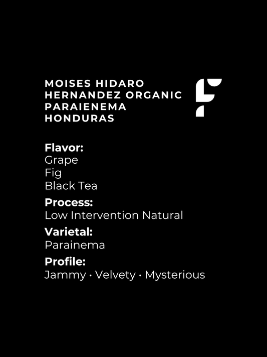 Moises Hidaro Hernandez Organic Paraienema Honduras