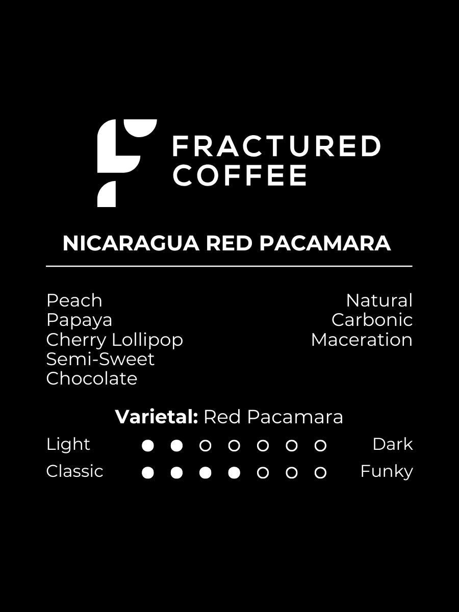 Finca Idealista Red Pacamara