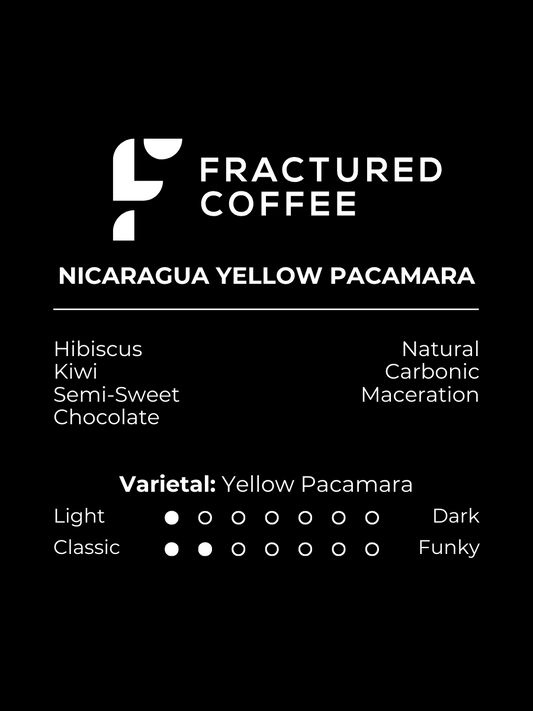 Finca Idealista - Yellow Pacamara Nicaragua