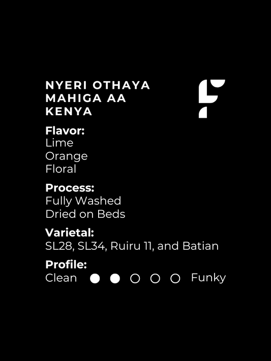 Nyeri Othaya Mahiga AA Kenya