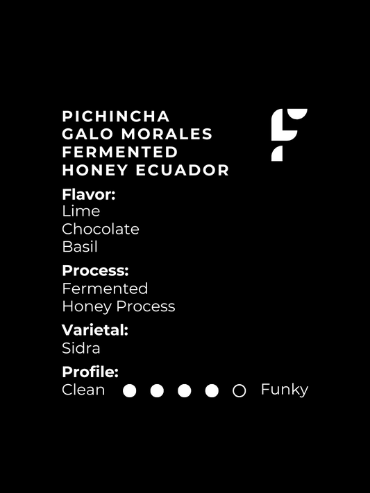 Pichincha Galo Morales Fermented Honey Ecuador